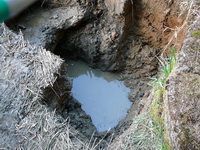 Odtok 2007