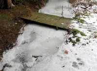 Zima